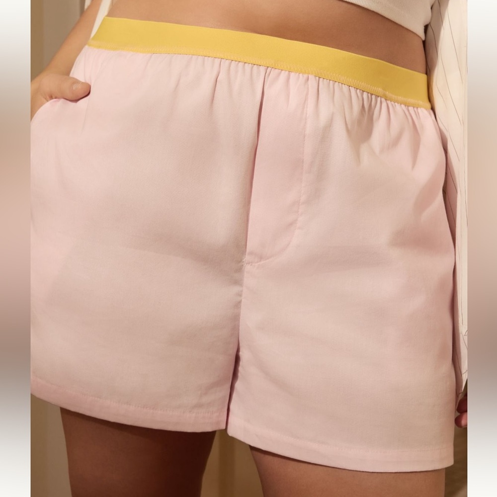 NWT Anthropologie Colorblock Boxers